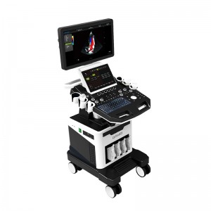 factory low price Cheap Ultrasound Machine -
 DW-T8 lite high end 4d ultrasound machine – Dawei