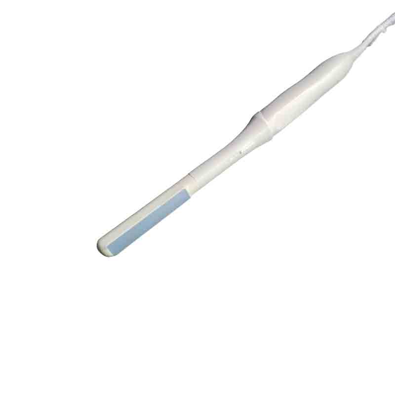 trans-rectal probe