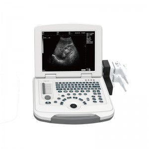 Wholesale Price China Portable Diagnostic Ultrasound -
 DW-500 – Dawei