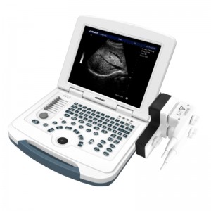 China wholesale Personal Ultrasound Device -
 DW-580 – Dawei