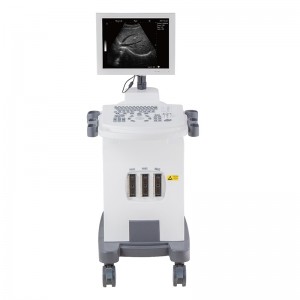 2019 High quality Portable Sonogram Machine For Sale -
 DW-370 – Dawei