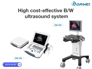 https://www.ultrasounddawei.com/bw-ultrasound/