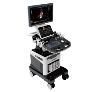 OEM Customized 3d Ultrasound Machine For Sale -
 DW-T60 (DW-CE780) High End cardiac ultrasound scan machine – Dawei