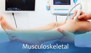 https://www.ultrasounddawei.com/musculoskeletal/